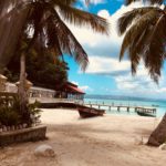 two palm trees on a beach in Haiti with a boat sitting on the sand in the background and a beach pier in the distance set against a blue sky with fluffy white clouds.